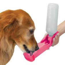 PetShop