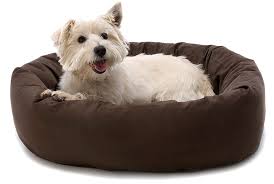 PetShop