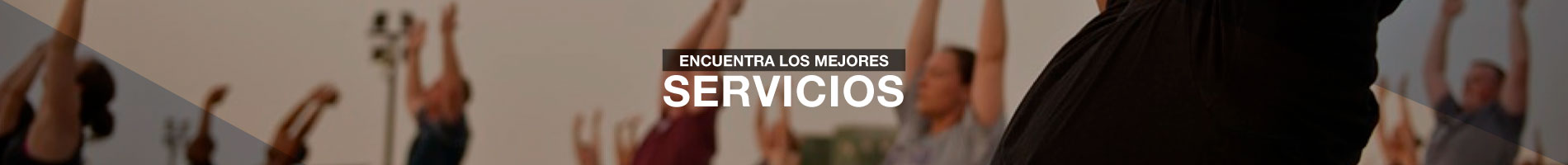 Servicios